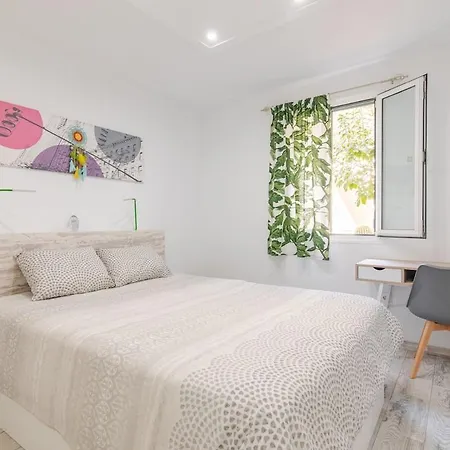 Refreshing Oasis El Médano