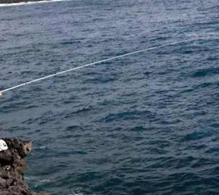 Apartamento Refreshing Oasis